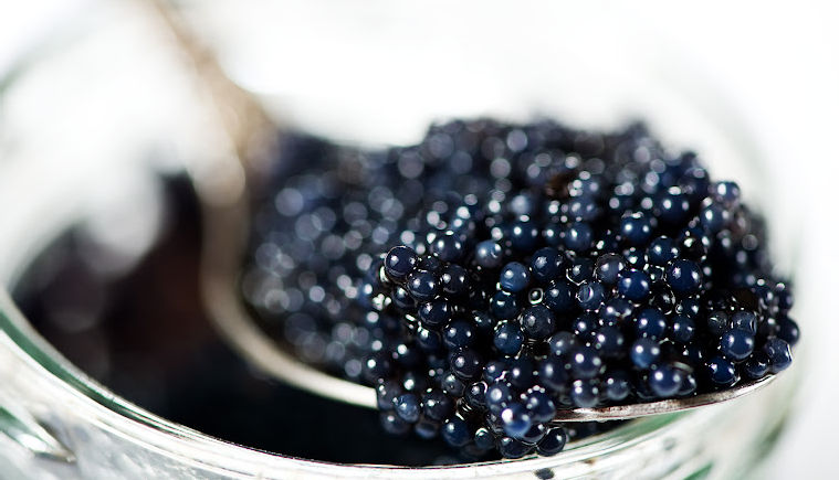 Ever Wondered How is Caviar Made?