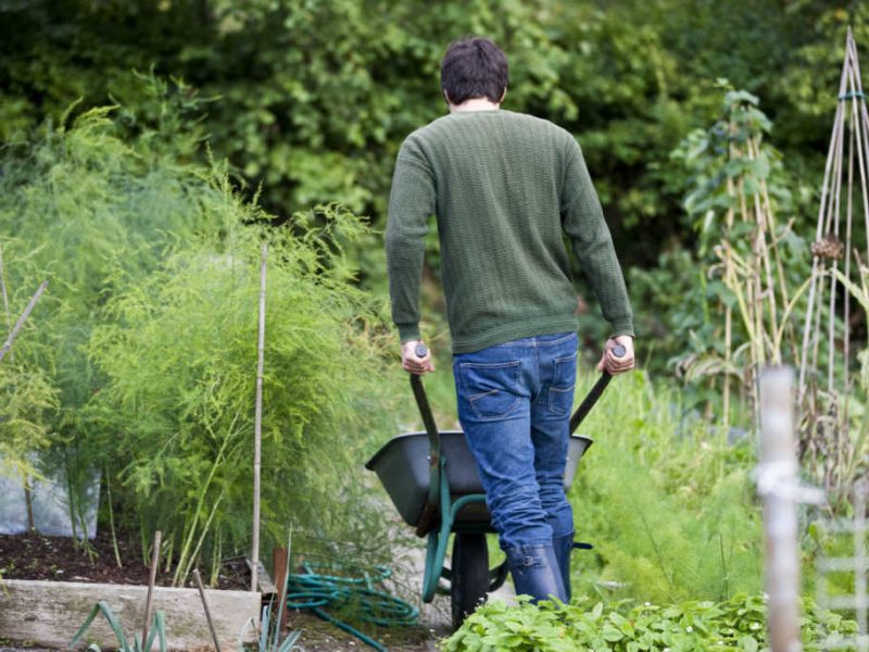 Guide to greening your garden with simple tips and tricks!